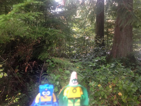 Camping in Washington
